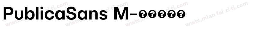 PublicaSans M字体转换